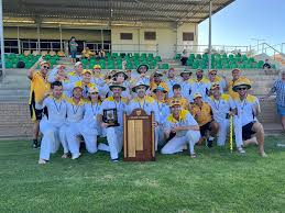 Image result for Rushden Wanderers Cricket Club