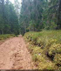 Attēlu rezultāti vaicājumam “Isopaches bicrenatus”