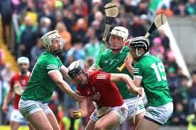 Image result for hurling