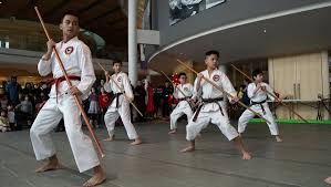 Image result for Thatcham Wado Karate Club