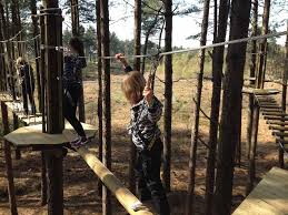Image result for The Go Ape Experience (Delamere Forest)