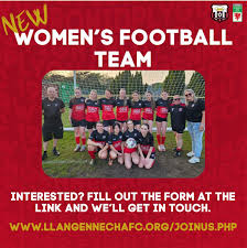 Image result for Hendy Afc