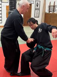 Image result for Bujinkan Dojo Seijitsu