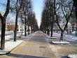 240px-Laisves_Aleja_in_Kaunas_ ...