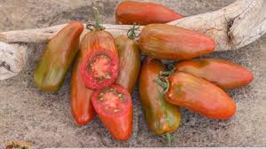 Afbeeldingsresultaat voor black elephant tomato