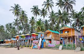 Image result for goa beaches