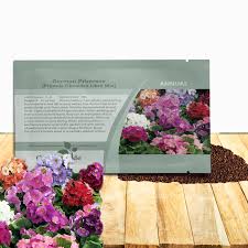 Image result for Primula obconica