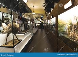 Image result for Wollaton Bc