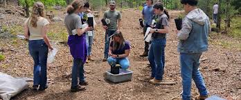 Image result for Swansea Rifle Club