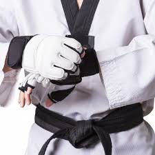 Image result for Dujon Tae Kwon Do