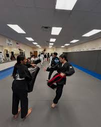 Image result for TopKick Martial Arts Center Leesburg