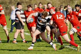 Image result for Farnham Rugby Union Football Club