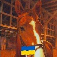 Image result for Beechwood Riding School
