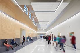 Image result for Apex Paragliding School