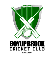 Image result for Blackwood Town Cricket Club