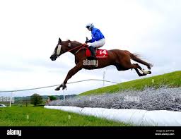 Image result for Devizes Dazzlers