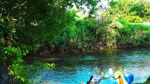 Image result for Waveney Valley Canoe Club