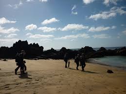 Image result for York University Sub Aqua Club