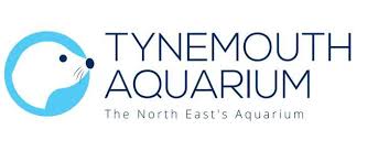 Image result for Tynemouth Asc