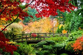 Image result for japanese gardens...