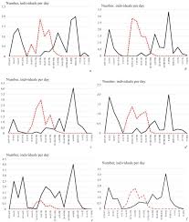 Attēlu rezultāti vaicājumam “Quedius dilatatus”