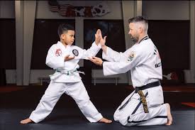 Image result for Arlington Martial Arts Academy