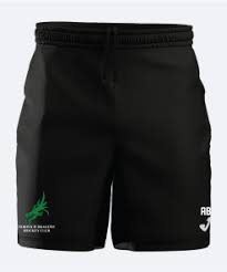 Image result for Norwich Dragons Hockey Club