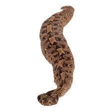 Image result for Spen Valley Vipers