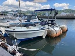 「アリエータ・リュイス」の画像検索結果