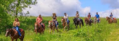 Image result for The Riding Centre