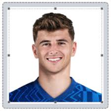 Image result for Milford Pumas Football Club