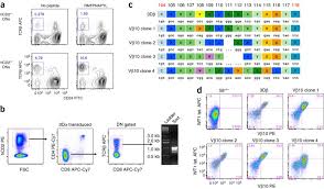 Image result for Generation 2 Ttc
