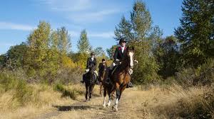 Image result for Haydock Hunters Speedminton Club