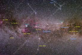 Attēlu rezultāti vaicājumam “Cygnus”