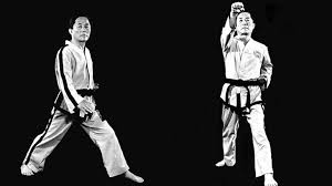 Image result for Swindon East TAGB Tae Kwon-Do