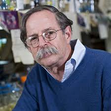 Image result for Horwich