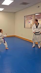 Image result for Kidderminster Tae Kwon Do Tigers