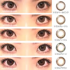 「ネオサイトワンデーシエル」の画像検索結果