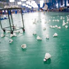 Image result for Beaufort Badminton Club