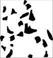 <b>Perceptual</b> Organization