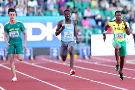 Image result for Tobogo