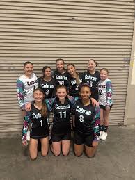 Image result for Chesterfield Cobras Volleyball Club