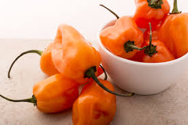 Afbeeldingsresultaat voor orange habanero hot pepper