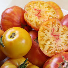 Afbeeldingsresultaat voor northern lights tomato