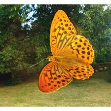 Attēlu rezultāti vaicājumam “Argynnis paphia larva”