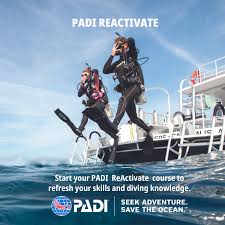 Image result for Robin Hood Dive School