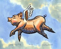 Image result for flying pigs