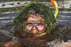 Image result for Bog Snorkelling Championships