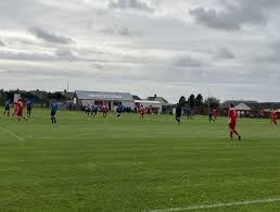 Image result for Milford Pumas Football Club