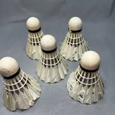 Image result for Feathers Badminton- Leatherhead